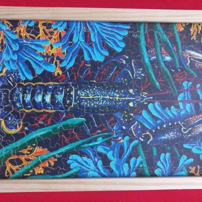 homard BZH by camtarinc