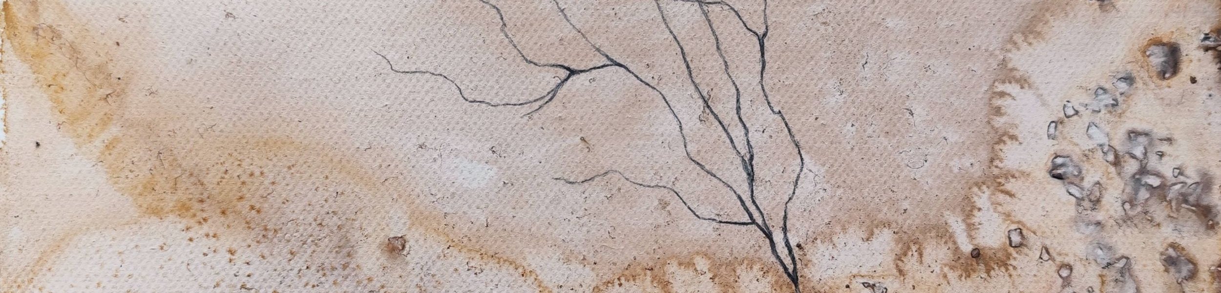 48e8101c cf75 4baf 9089 0b805f889c88 ConvertImage