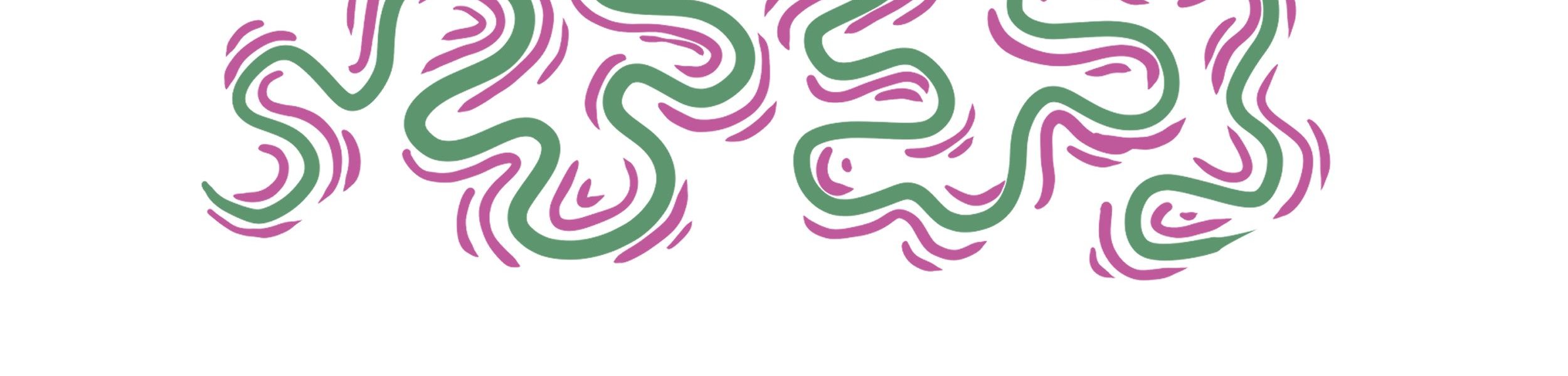 LOGO BAS DE PAGE