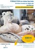 Formation Professionnel en laine feutrée : formes creuses et objets en 3 D