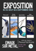 Exposition d'émaux sur métaux